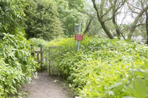 bellway yarm 55.jpg